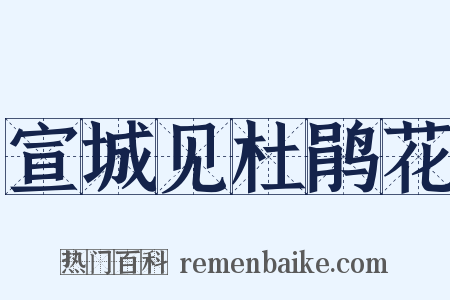 宣城见杜鹃花是什么意思的图片